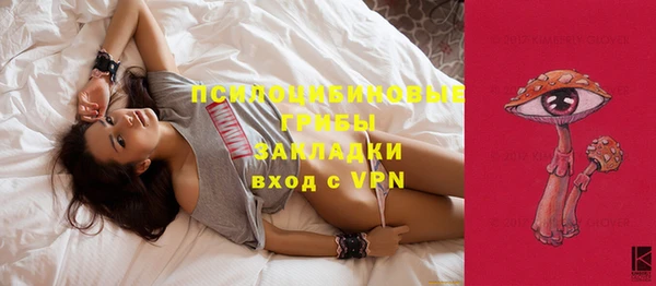шишки Бронницы