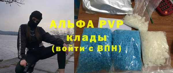 шишки Бронницы