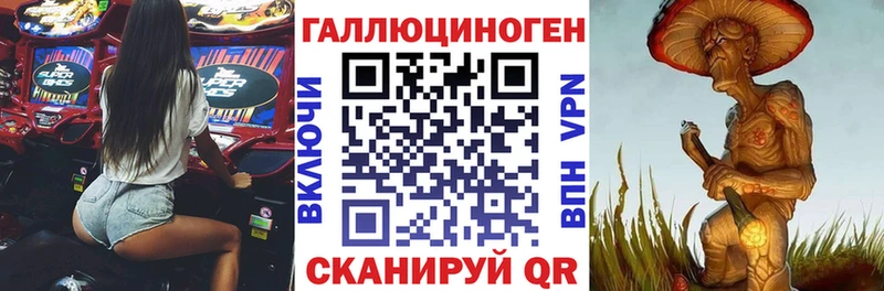 Купить где  Аткарск  Галлюциногенные грибы Psilocybe 